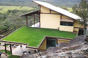 Telhado Verde